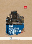 BANK RESOLUTION EXPERIENCE